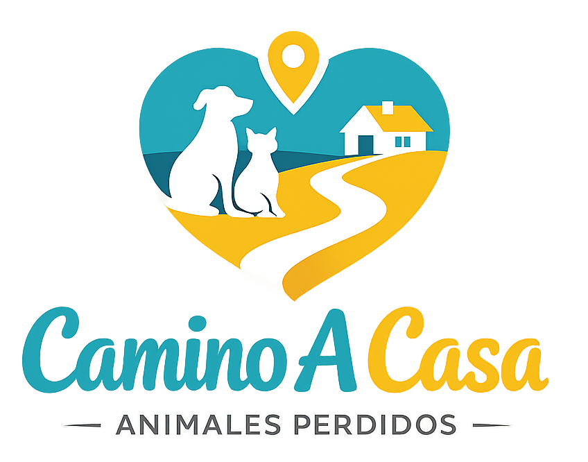 Camino A Casa Animales Perdidos
