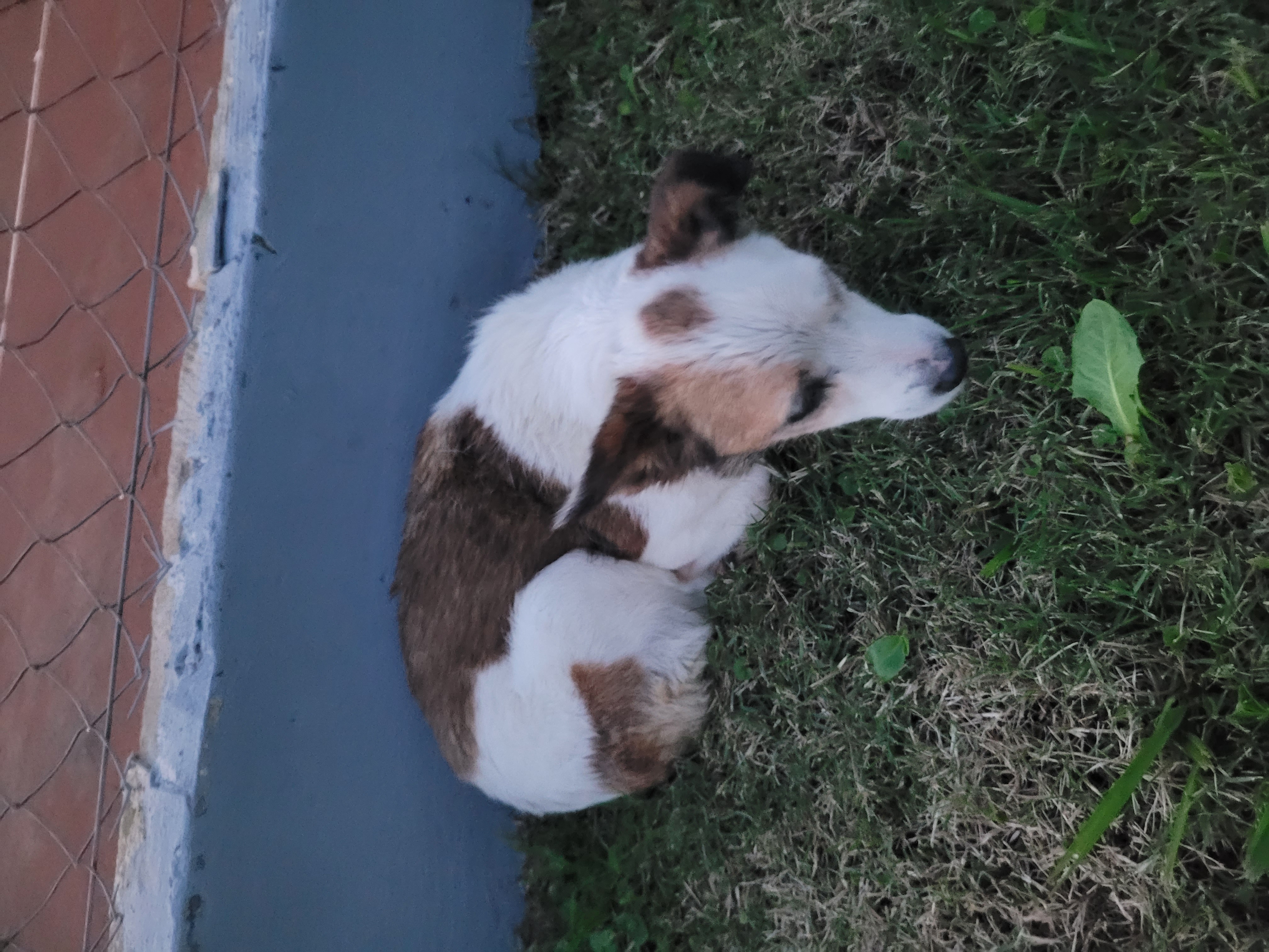 Foto del caso Sin identificar