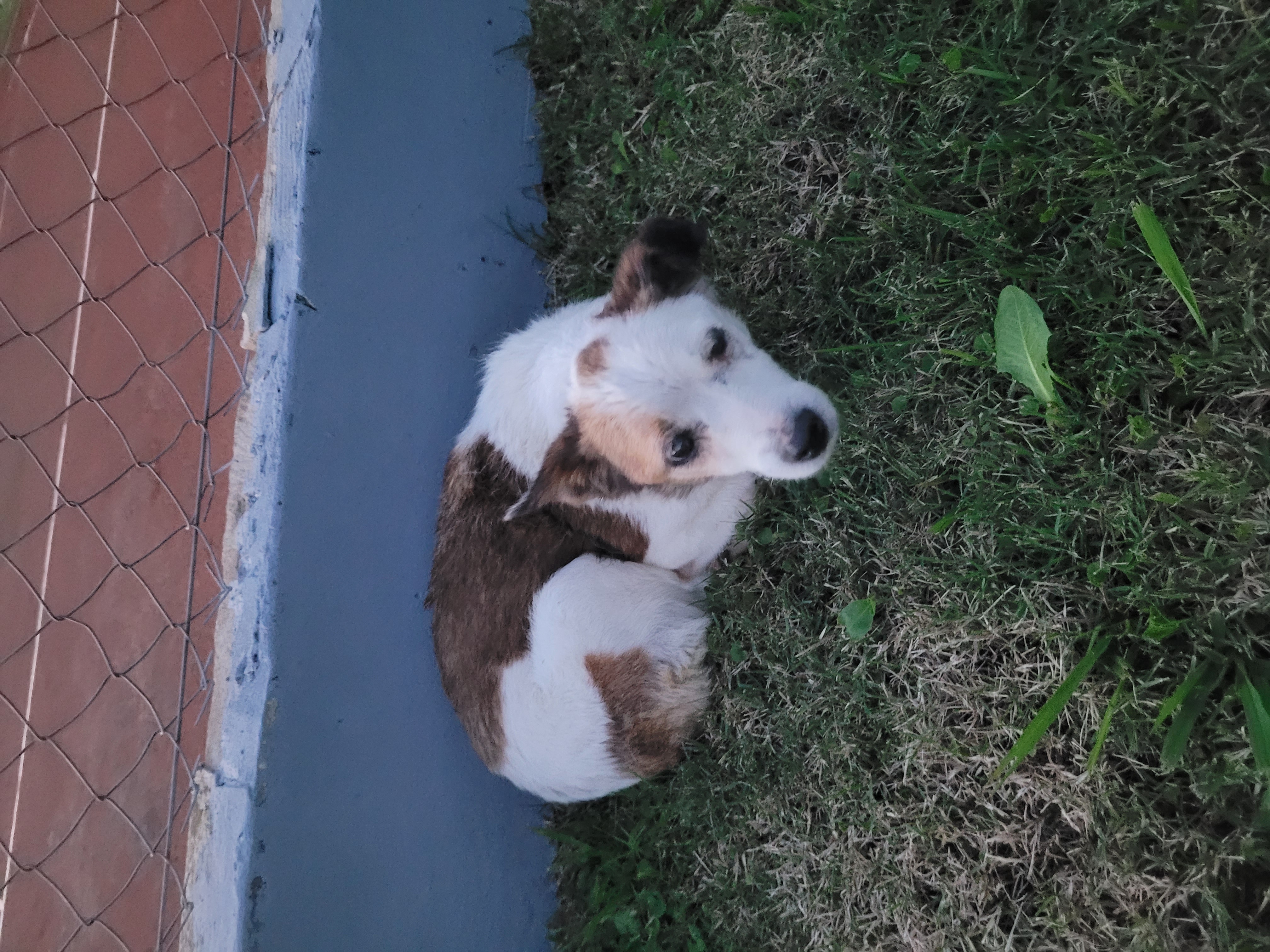 Foto del caso Sin identificar