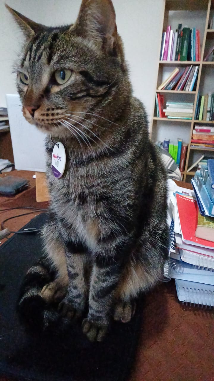 Foto del caso Neptuno