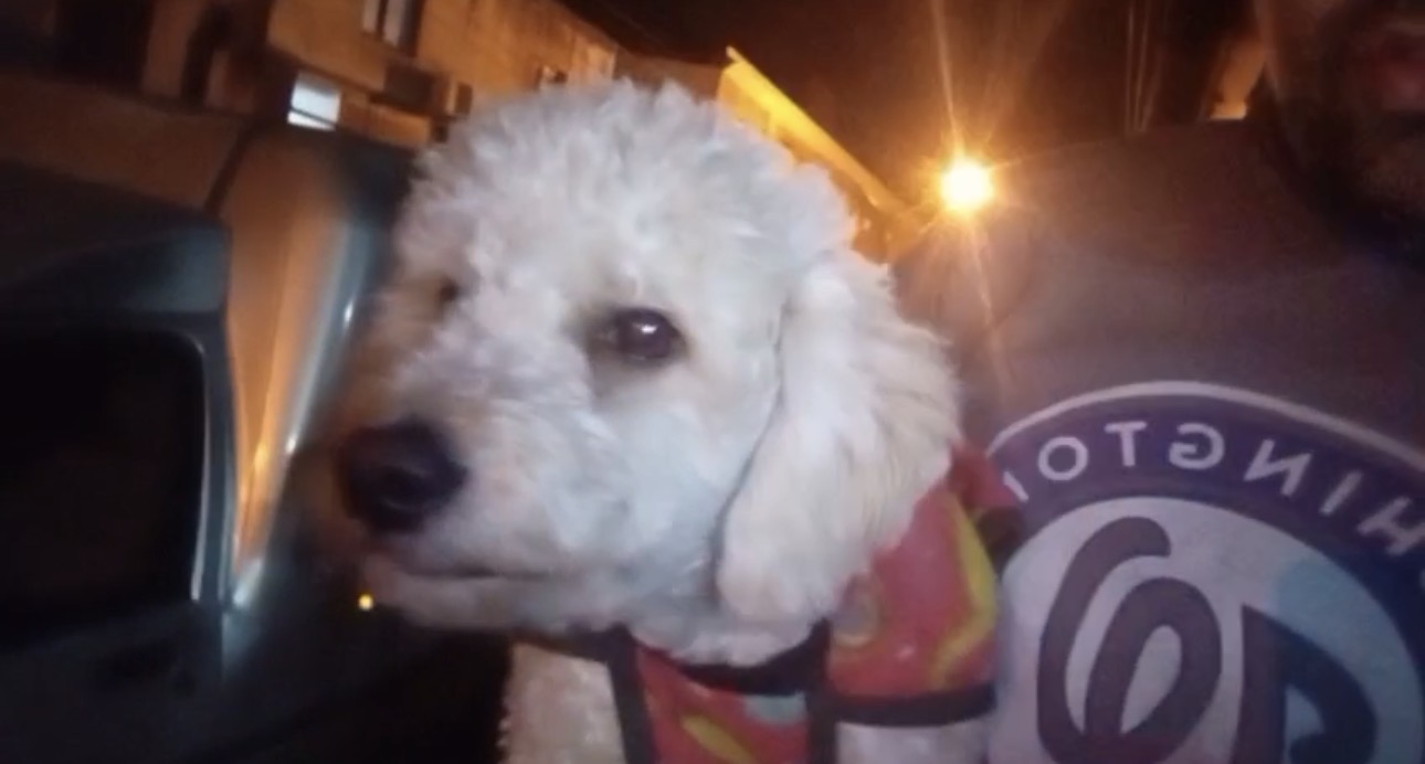Foto del caso Coco