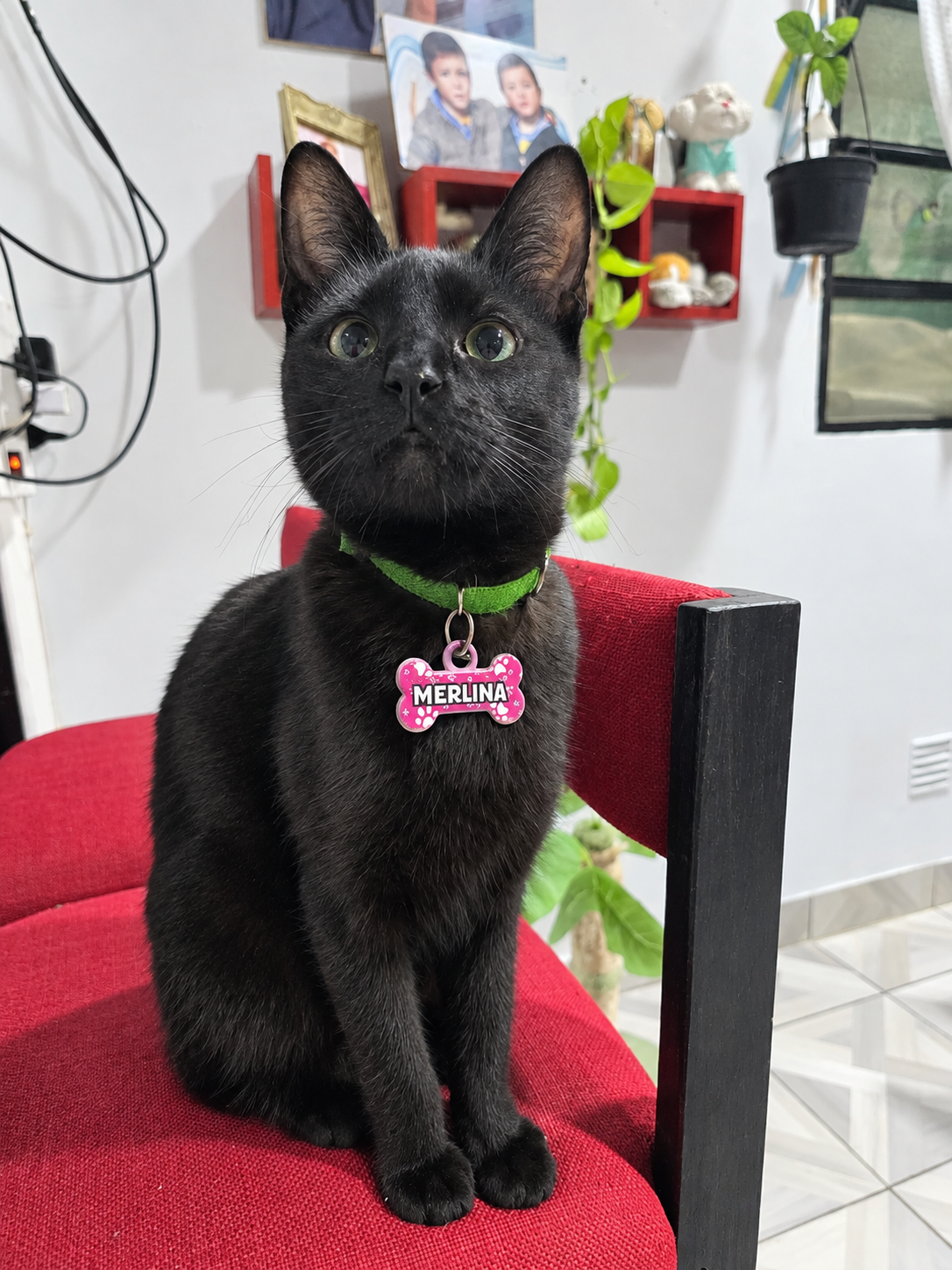 Foto del caso Merlina